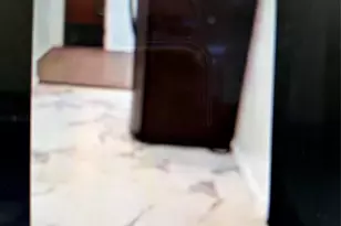 605 Hegeman Ave, Brooklyn, NY 11207 - Photo 3