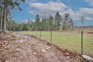 703 Dahlia Rd, Livingston Manor, NY 12758 - Photo 37