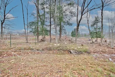 703 Dahlia Road, Livingston Manor, NY 12758 - Photo 23