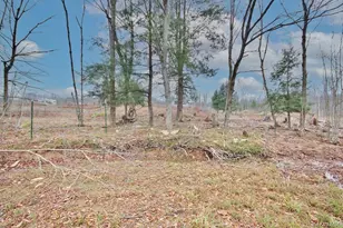 703 Dahlia Rd, Livingston Manor, NY 12758 - Photo 23