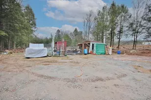 703 Dahlia Rd, Livingston Manor, NY 12758 - Photo 33