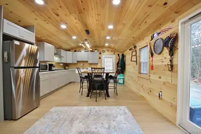 703 Dahlia Road, Livingston Manor, NY 12758 - Photo 5