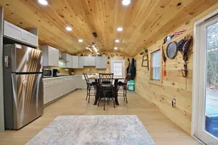 703 Dahlia Rd, Livingston Manor, NY 12758 - Photo 5