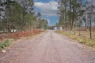 703 Dahlia Rd, Livingston Manor, NY 12758 - Photo 43