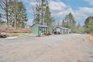 703 Dahlia Rd, Livingston Manor, NY 12758 - Photo 31