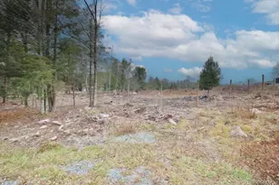 703 Dahlia Rd, Livingston Manor, NY 12758 - Photo 39