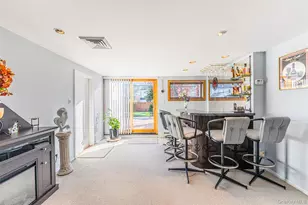 192 Birch Dr, Manhasset Hills, NY 11040 - Photo 29