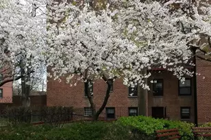 150-29 72 Garden, Kew Gardens, NY 11367 - Photo 3