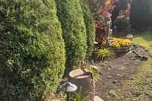 1457 Bay St, New York, NY 10305 - Photo 27