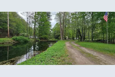 71 Peekamoose Road, Sundown, NY 12740 - Photo 3