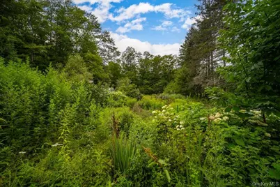 2 Couzines Road, Woodbourne, NY 12788 - Photo 49