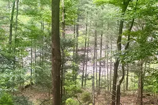 258 Watson Hollow Rd, West Shokan, NY 12494 - Photo 45