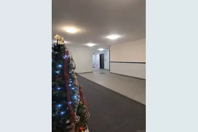 1199 E 53rd Street #7L, Brooklyn, NY 11234 - Photo 35