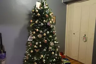 1199 E 53rd St, Brooklyn, NY 11234 - Photo 5