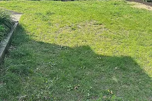 14 Maple St, Glenwood Landing, NY 11547 - Photo 17