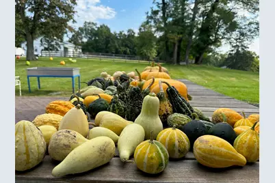 2948 State Route 94, Chester, NY 10918 - Photo 43