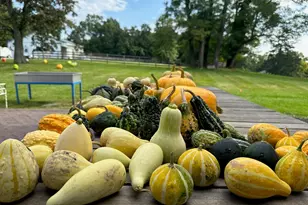 2948 State Route 94, Chester, NY 10918 - Photo 43