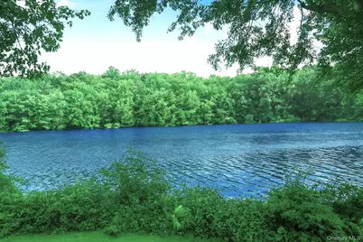 20 Cole Drive, Armonk, NY 10504 - Photo 21