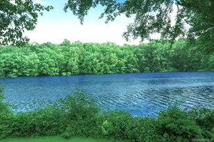 20 Cole Dr, Armonk, NY 10504 - Photo 21