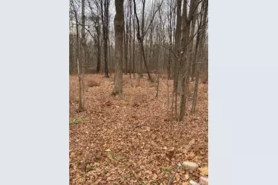 Lot #3 S Plank Road, Westtown, NY 10998 - Photo 5