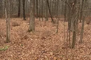 Lot #3 S Plank Rd, Westtown, NY 10998 - Photo 5