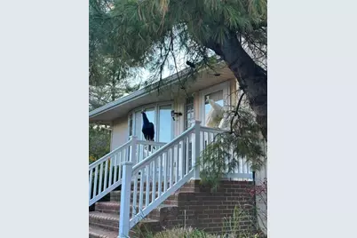 59 Hazelwood Drive, Jericho, NY 11753 - Photo 3