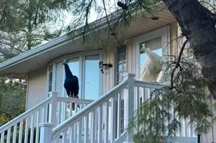 59 Hazelwood Dr, Jericho, NY 11753 - Photo 3