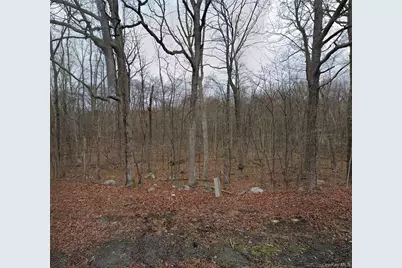 Cr-49, Middletown, NY 10940 - Photo 3