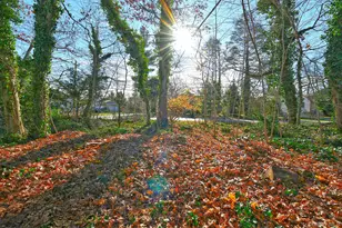 32 Horton Dr, Huntington, NY 11746 - Photo 35