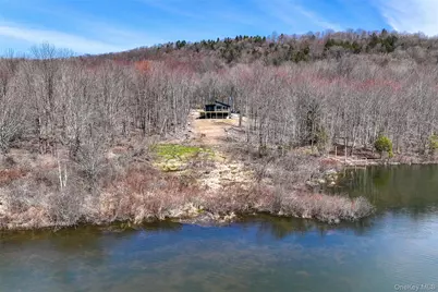 90 Meadow Lane, Fremont Center, NY 12736 - Photo 3