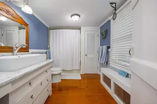 2327 Salt Point Turnpike, Clinton Corners, NY 12514 - Photo 19