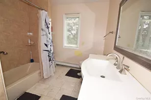 2 Aster Dr, New Hyde Park, NY 11040 - Photo 27