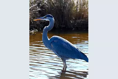 461 Route 199, Red Hook, NY 12571 - Photo 35