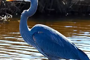 461 Route 199, Red Hook, NY 12571 - Photo 35