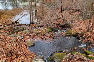 461 Route 199, Red Hook, NY 12571 - Photo 33