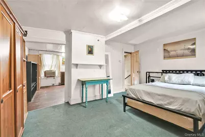 207 Bradford Street, Brooklyn, NY 11207 - Photo 11