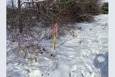 Maizeland Road, Lot 1A, Red Hook, NY 12571 - Photo 5