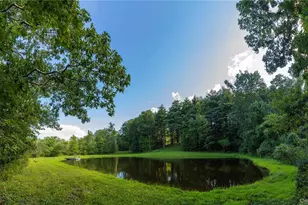 596 Joseph Chadderdon Rd, Cairo, NY 12413 - Photo 39