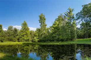 596 Joseph Chadderdon Rd, Cairo, NY 12413 - Photo 43