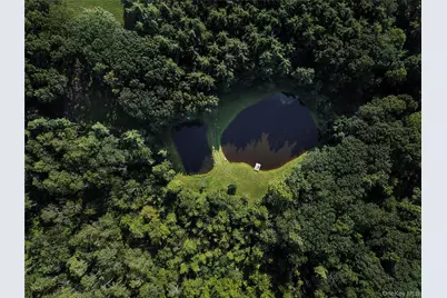 596 Joseph Chadderdon Road, Cairo, NY 12413 - Photo 45