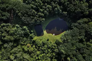 596 Joseph Chadderdon Rd, Cairo, NY 12413 - Photo 45