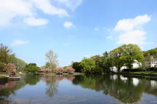 21 Lumber Rd, Roslyn, NY 11576 - Photo 17