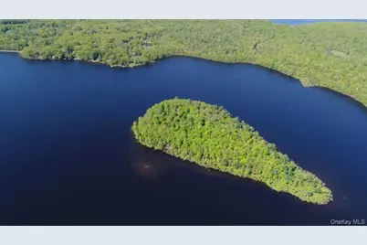 415 N Shore Drive, Wurtsboro, NY 12790 - Photo 41