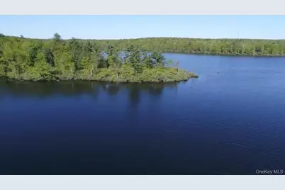 415 N Shore Drive, Wurtsboro, NY 12790 - Photo 43