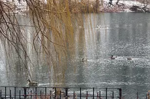 220-55 46th Ave, Bayside, NY 11361 - Photo 41