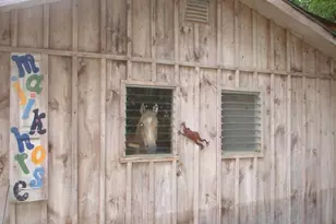 404 John Joy Rd, Woodstock, NY 12498 - Photo 23