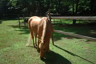 404 John Joy Rd, Woodstock, NY 12498 - Photo 23