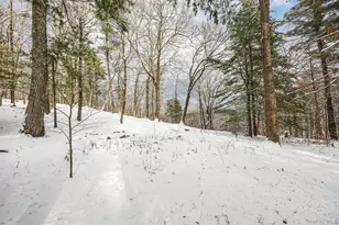 267 Reed Rd, Chatham, NY 12037 - Photo 27