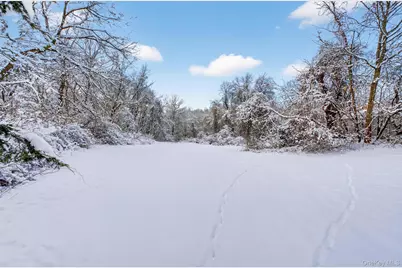 91 Clove Branch Road, Hopewell Junction, NY 12533 - Photo 35