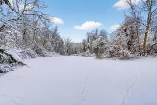 91 Clove Branch Rd, Hopewell Junction, NY 12533 - Photo 35